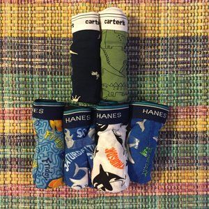 6 pieces! Brand New Carter's underwear